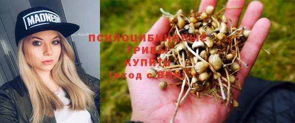 герыч Вяземский