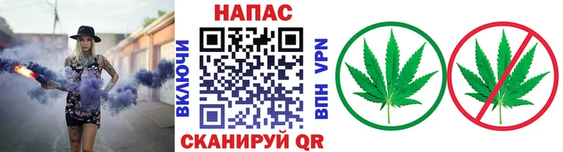 Купить где  Нефтегорск  Бошки Шишки White Widow 
